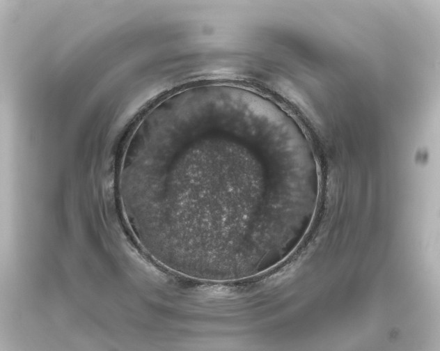 X0000093621450200710291216