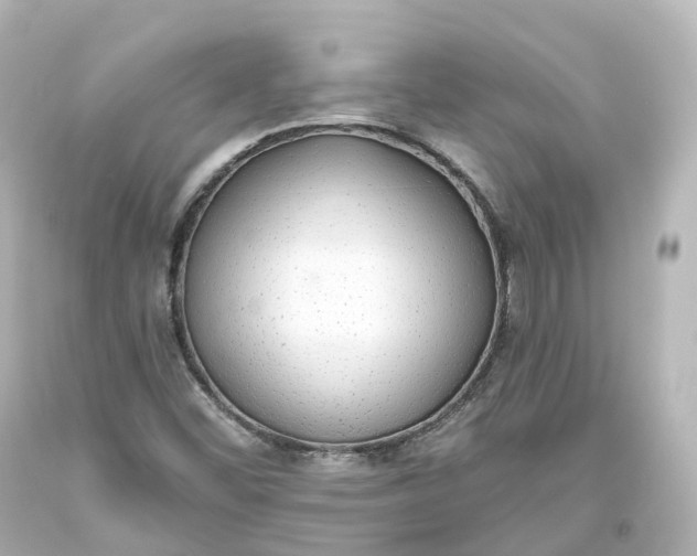 X0000093621452200710291216