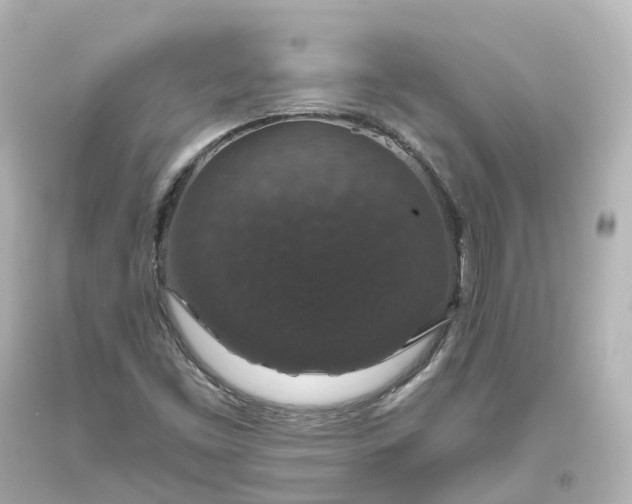 X0000093621453200710291216