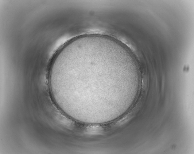 X0000093621454200710291216