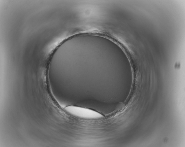 X0000093621455200710291216