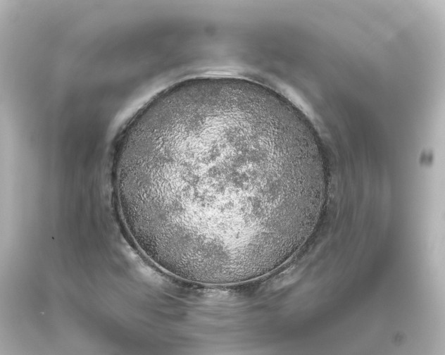 X0000093621456200710291216