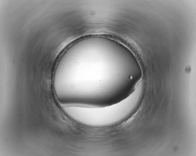 X0000093621457200710291216
