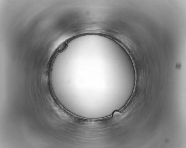 X0000093621458200710291216