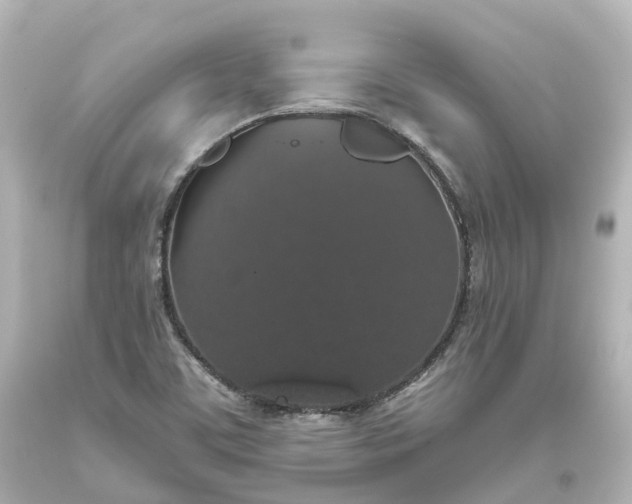 X0000093621459200710291216