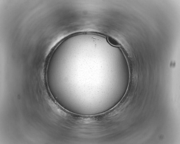 X0000093621460200710291216