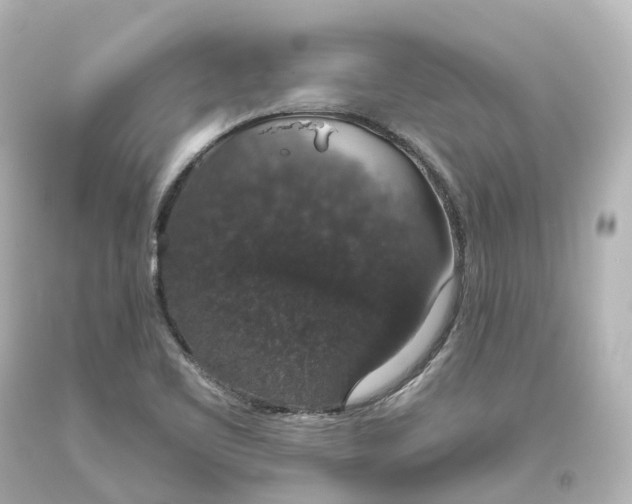X0000093621461200710291216