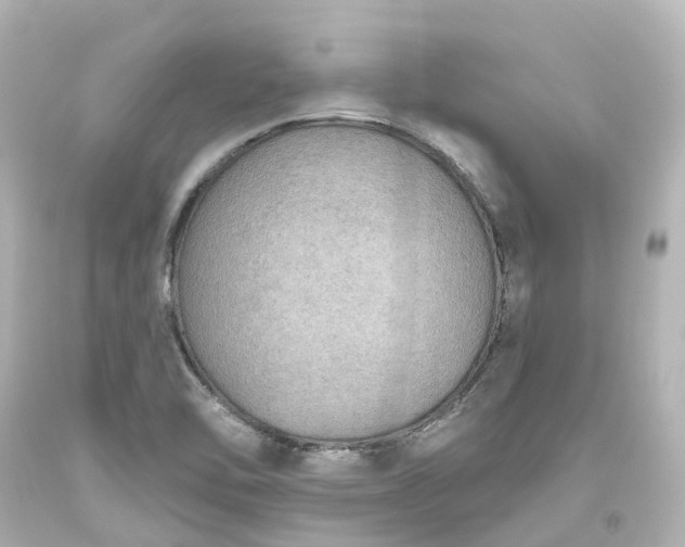 X0000093621462200710291216