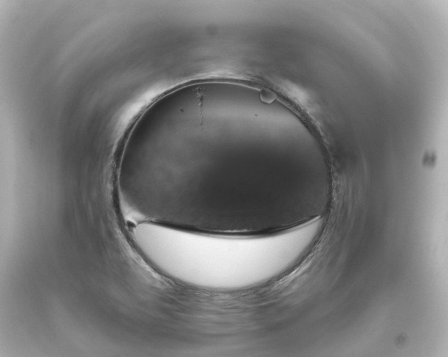 X0000093621463200710291216