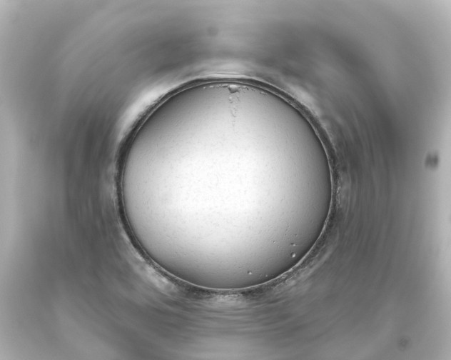 X0000093621464200710291216