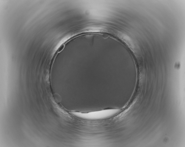 X0000093621465200710291216
