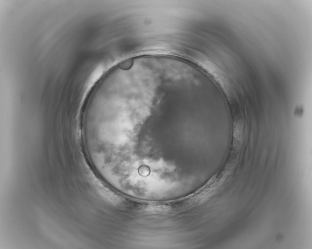 X0000093621466200710291216