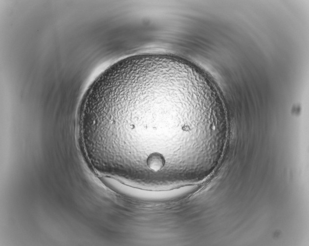 X0000093621467200710291216