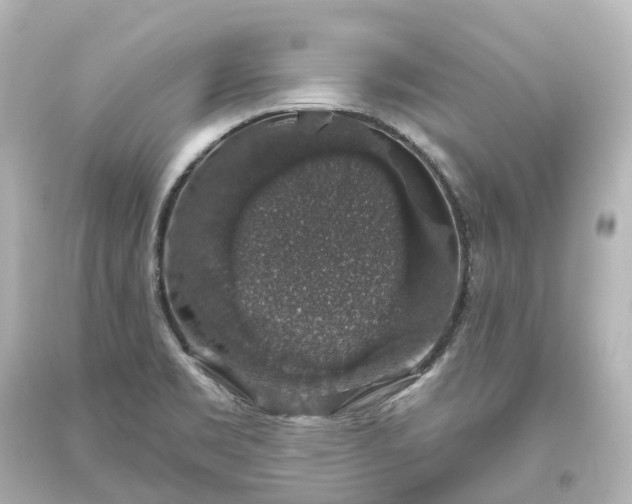 X0000093621469200710291216