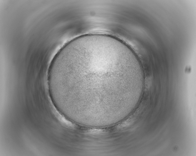 X0000093621470200710291216