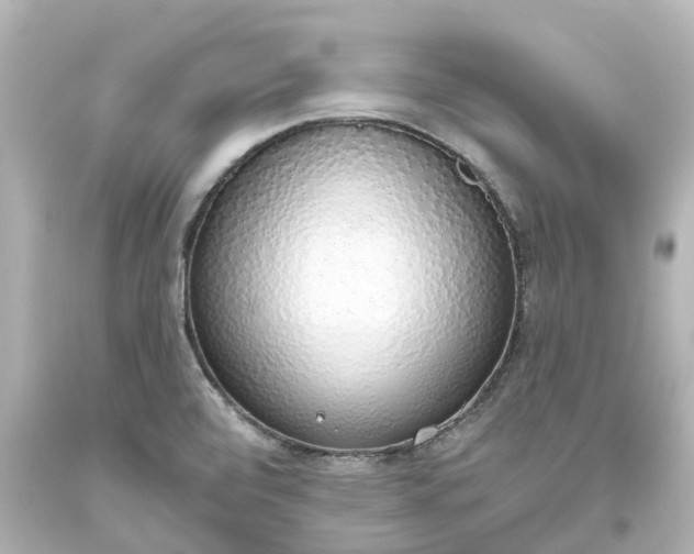 X0000093621472200710291216