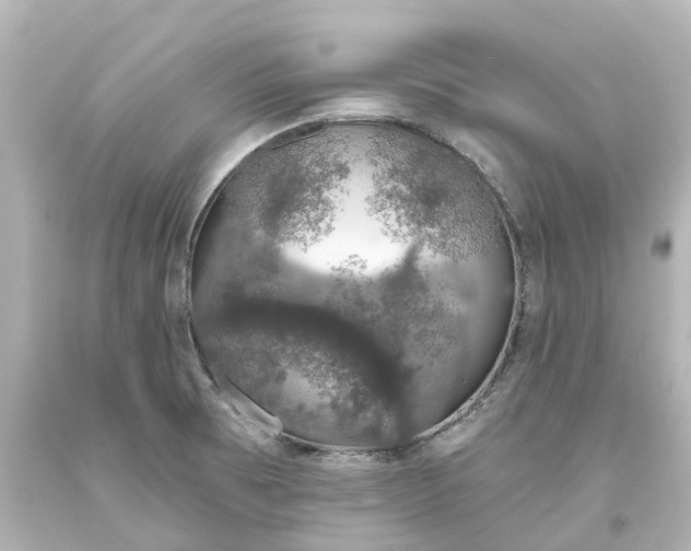 X0000093621473200710291216