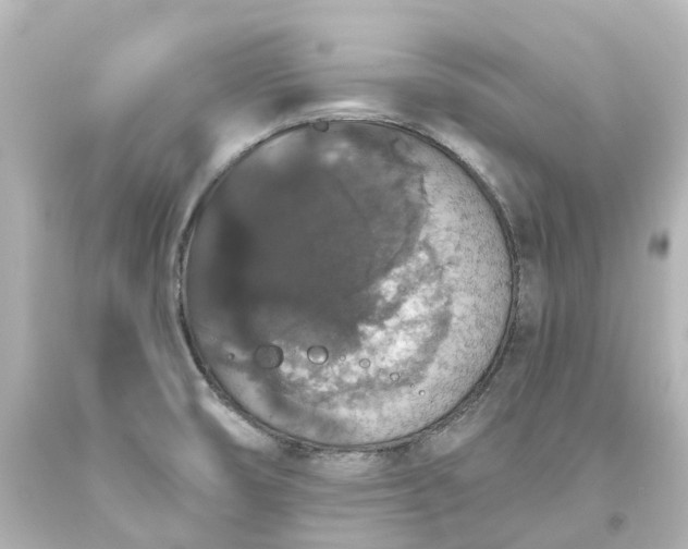 X0000093621474200710291216