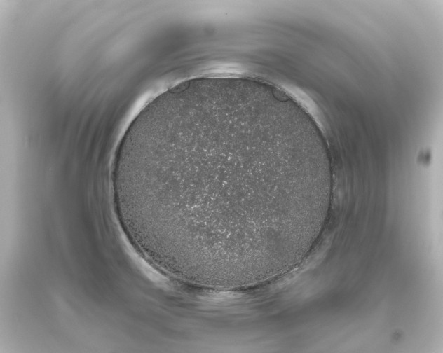 X0000093621475200710291216