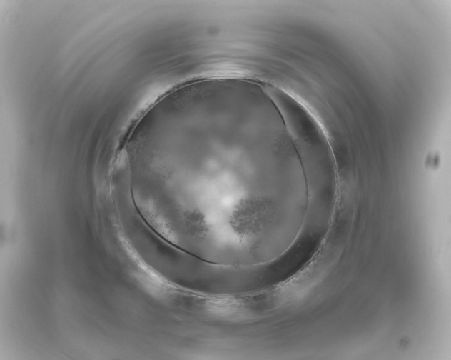 X0000093621477200710291216