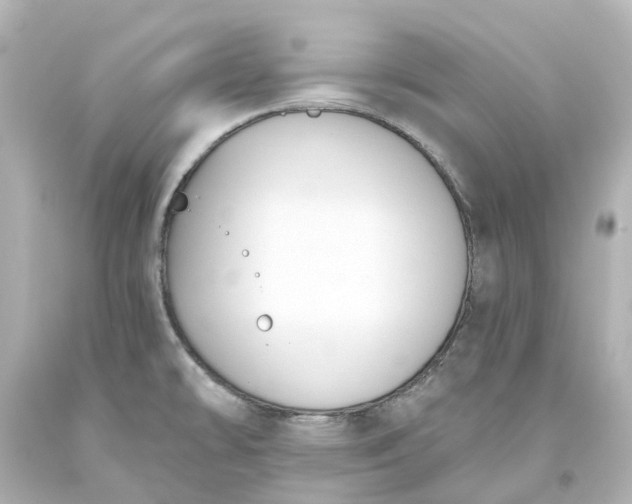 X0000093621478200710291216