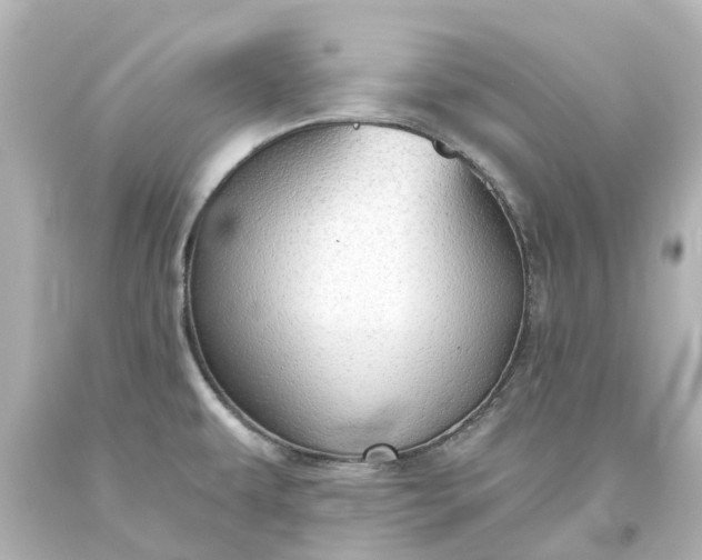 X0000093621479200710291216