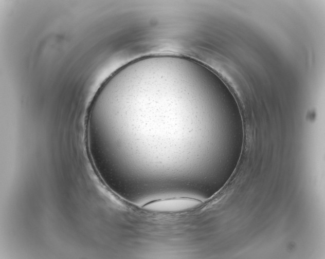 X0000093621480200710291216