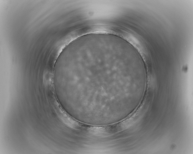 X0000093621481200710291216