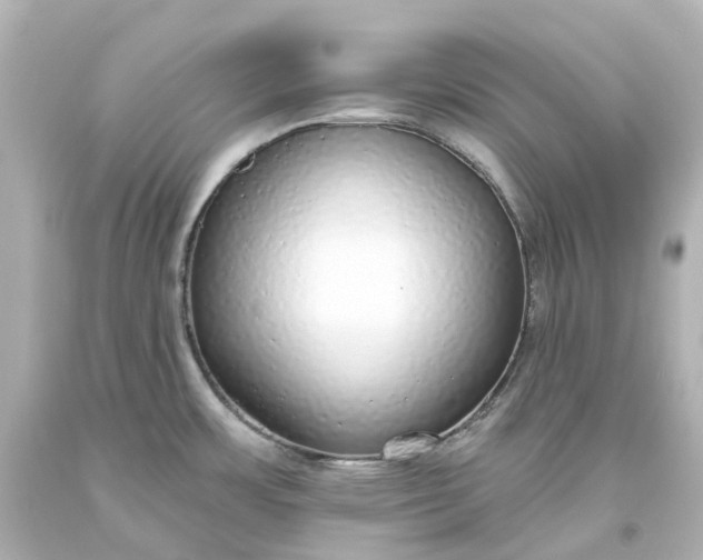 X0000093621483200710291216
