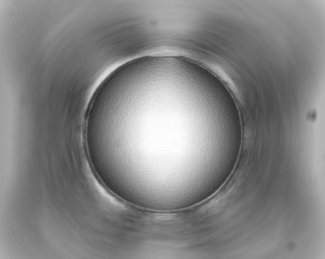 X0000093621484200710291216