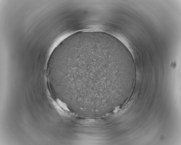 X0000093621485200710291216
