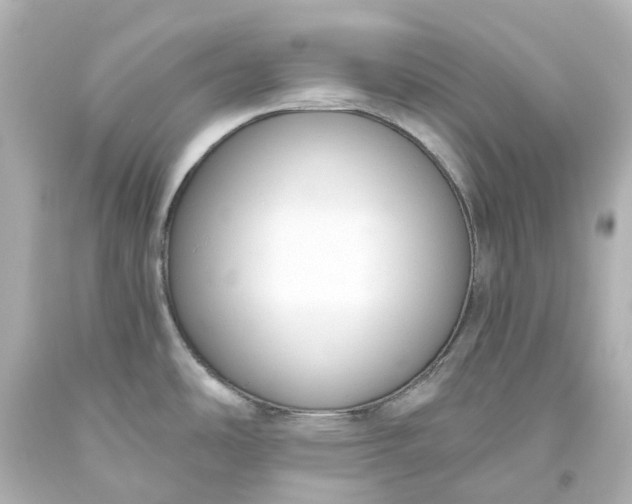 X0000093621486200710291216