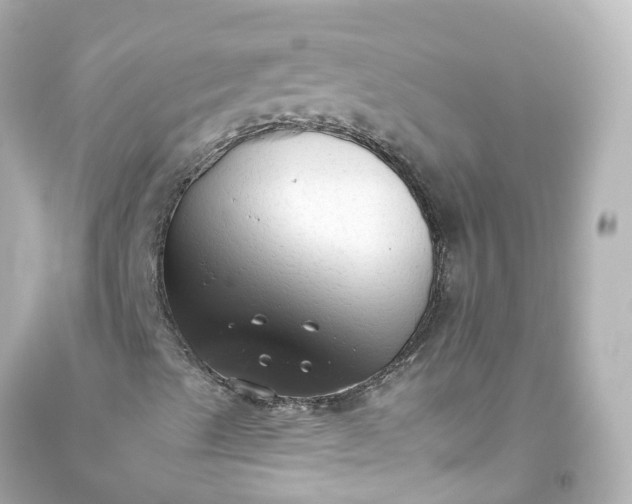 X0000093621489200710291215