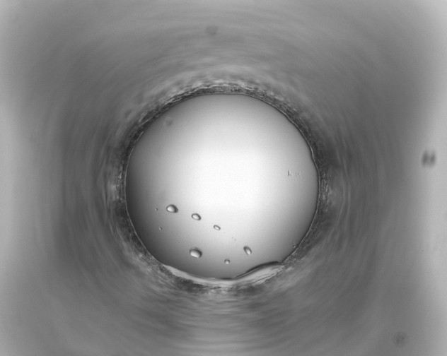 X0000093621490200710291215