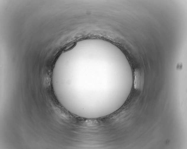 X0000093621491200710291215