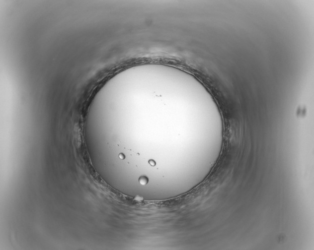 X0000093621493200710291215