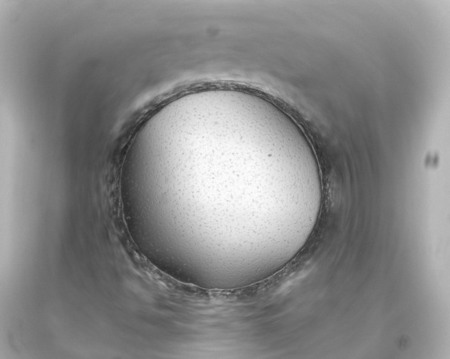 X0000093621494200710291215