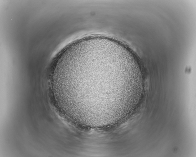 X0000093621496200710291215