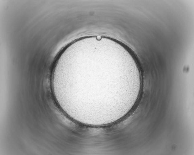 X0000093621498200710291215