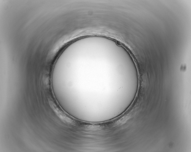 X0000093621499200710291215