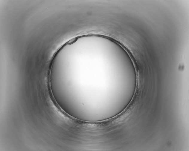 X0000093621500200710291215