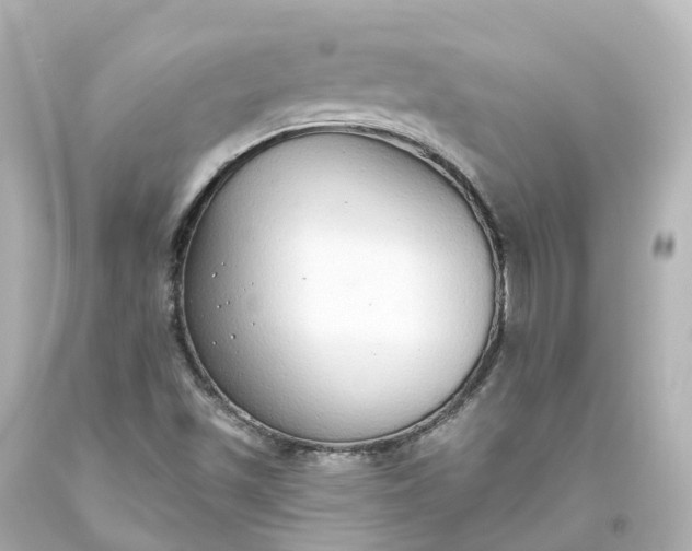 X0000093621501200710291215