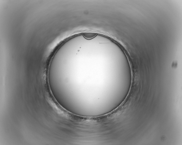 X0000093621503200710291215