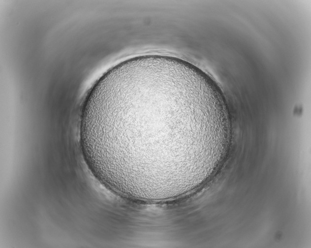 X0000093621504200710291215