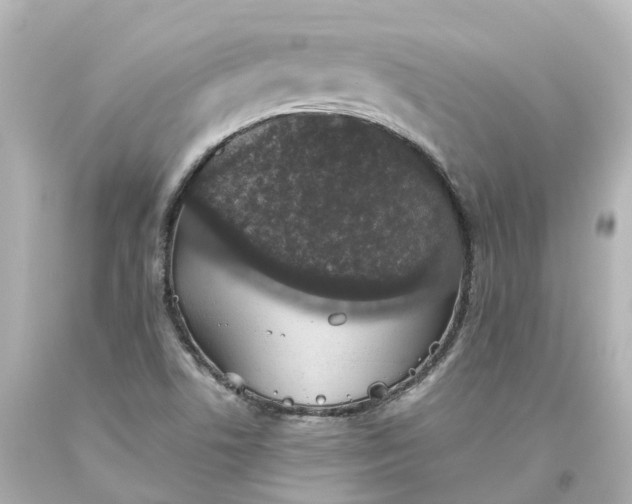 X0000093621506200710291215
