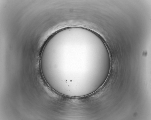 X0000093621507200710291215
