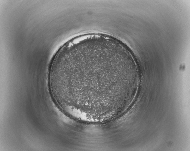 X0000093621508200710291215