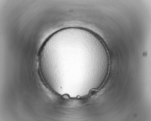 X0000093621509200710291215