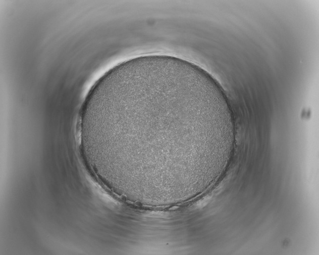 X0000093621510200710291215