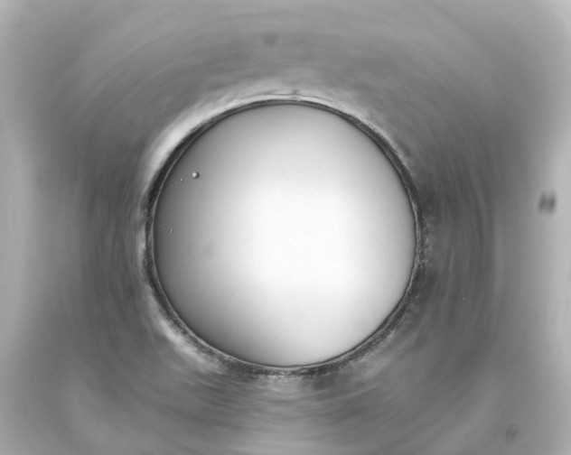 X0000093621511200710291215